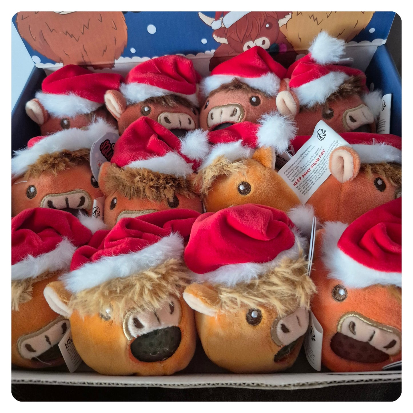 Queasy Squeezies Christmas Hat Highland Coo Plush Squeezy Toy