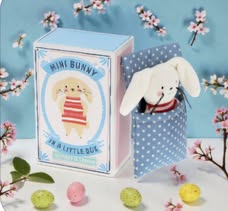 Mini Bunny In A Box