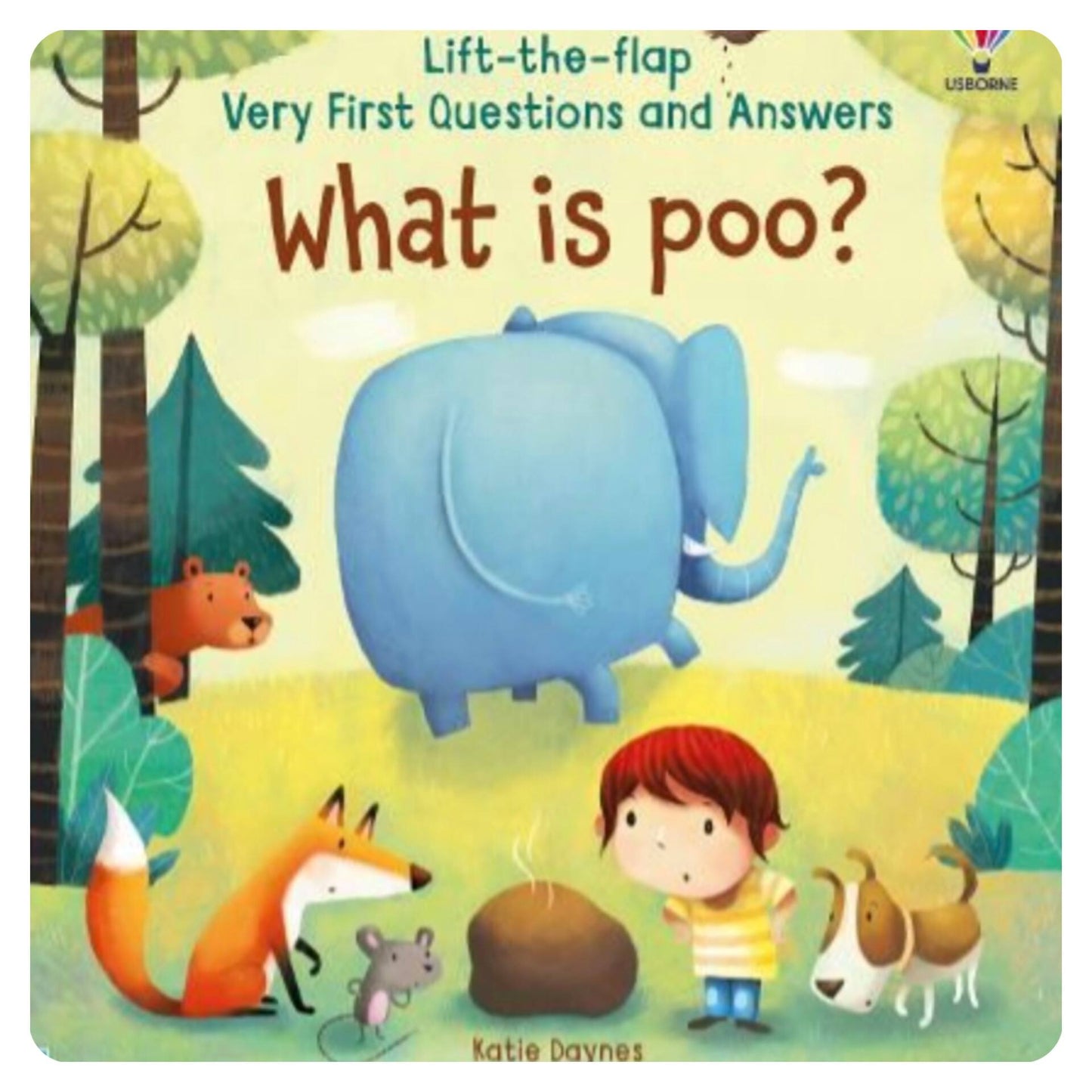 What is Poo? (Very First Lift-the-Flap Questions and Answers)