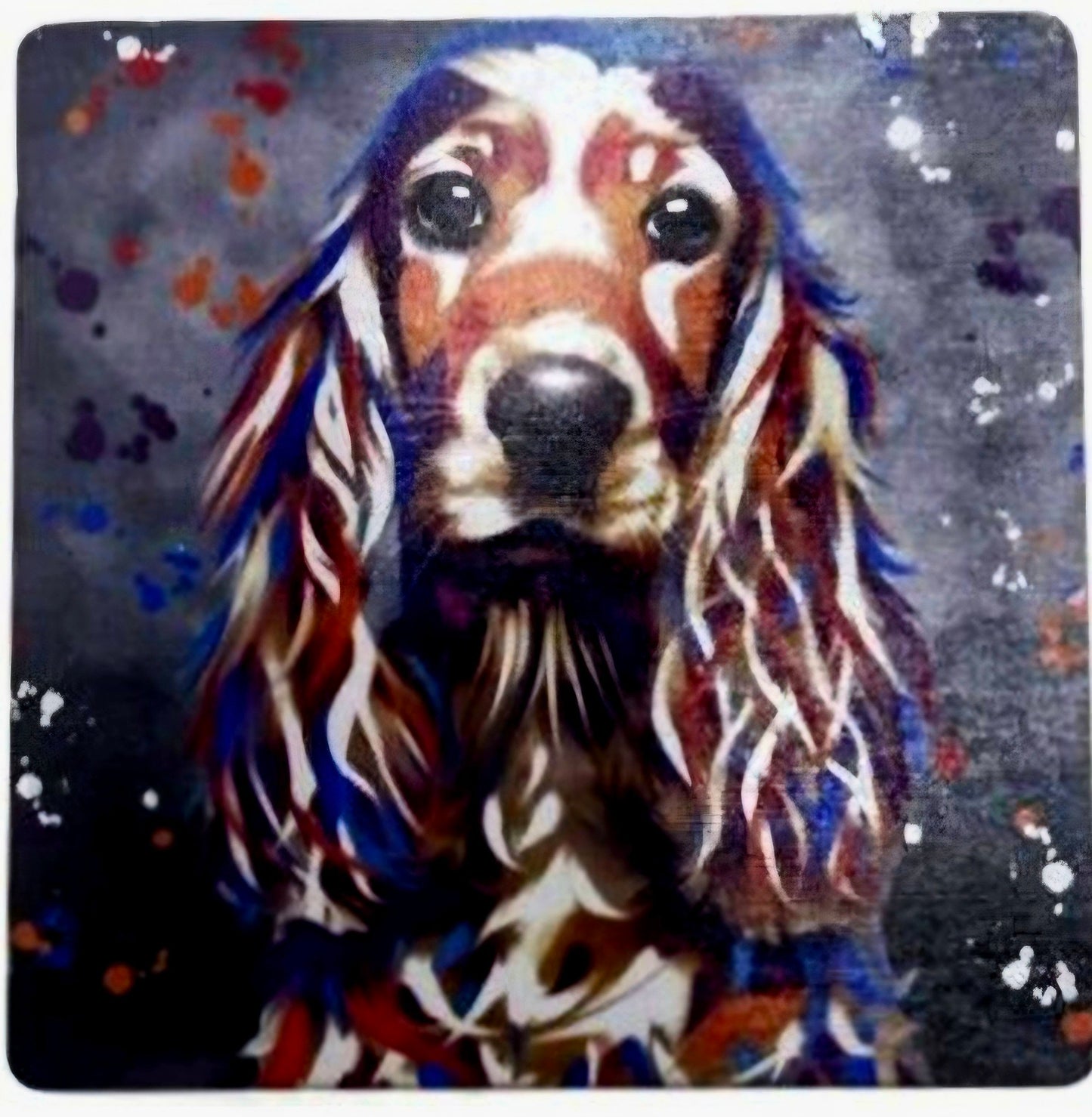 Cocker Spaniel Blonde coaster