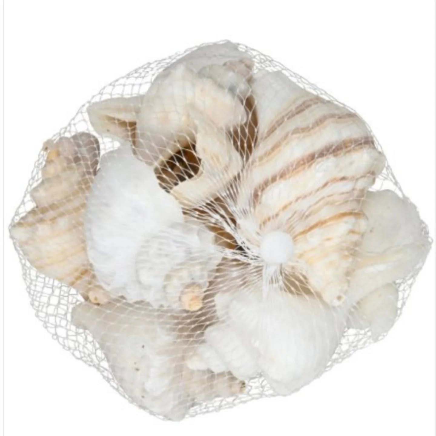 Natural Shell Set in a Bag, 8cm