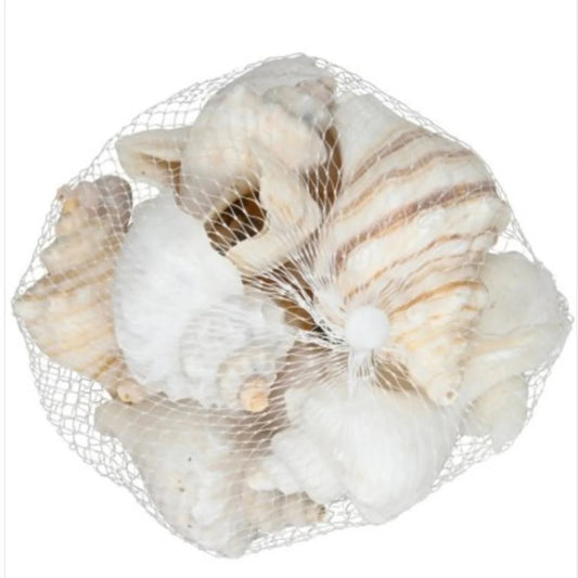 Natural Shell Set in a Bag, 8cm