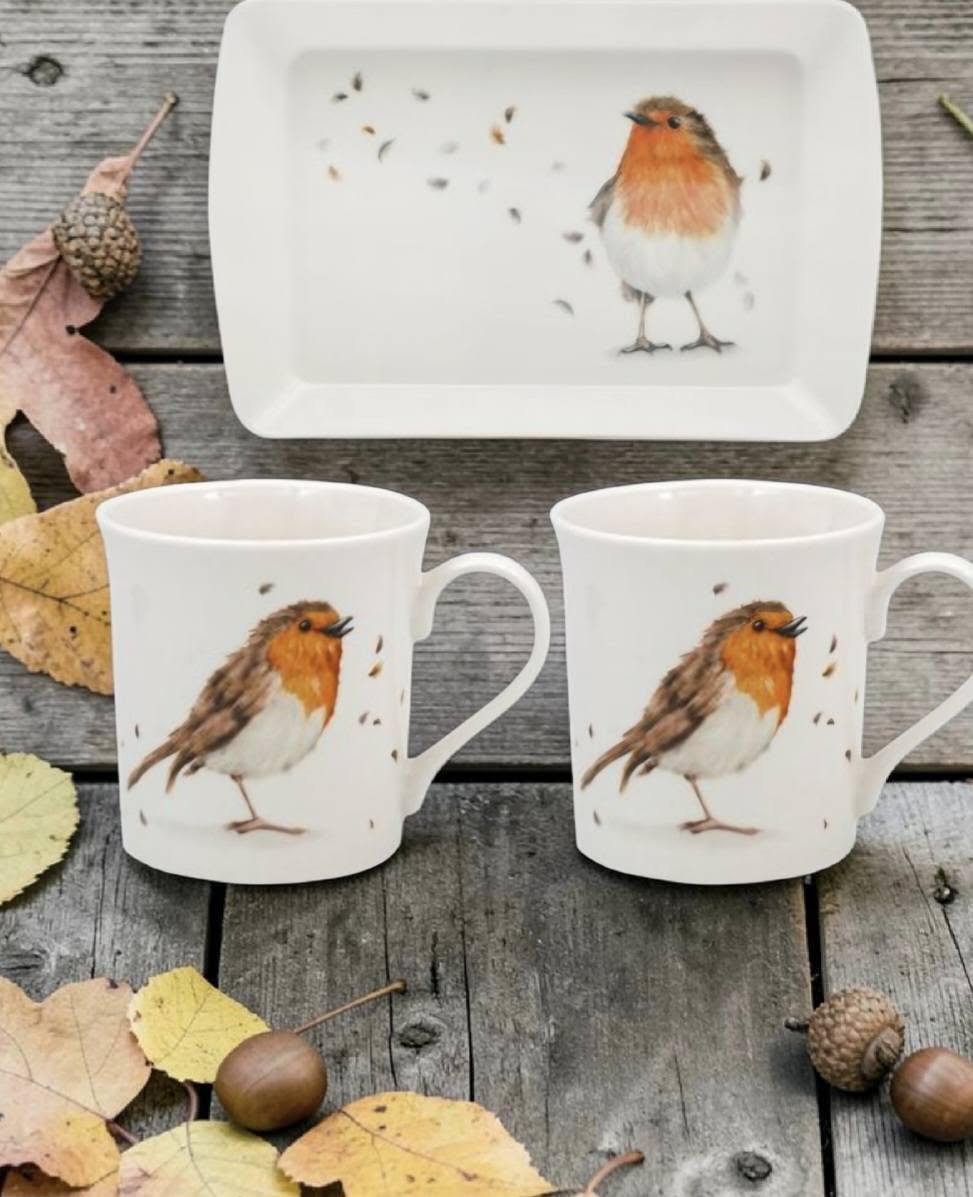 Robins Mug & Tray Set, 24cm